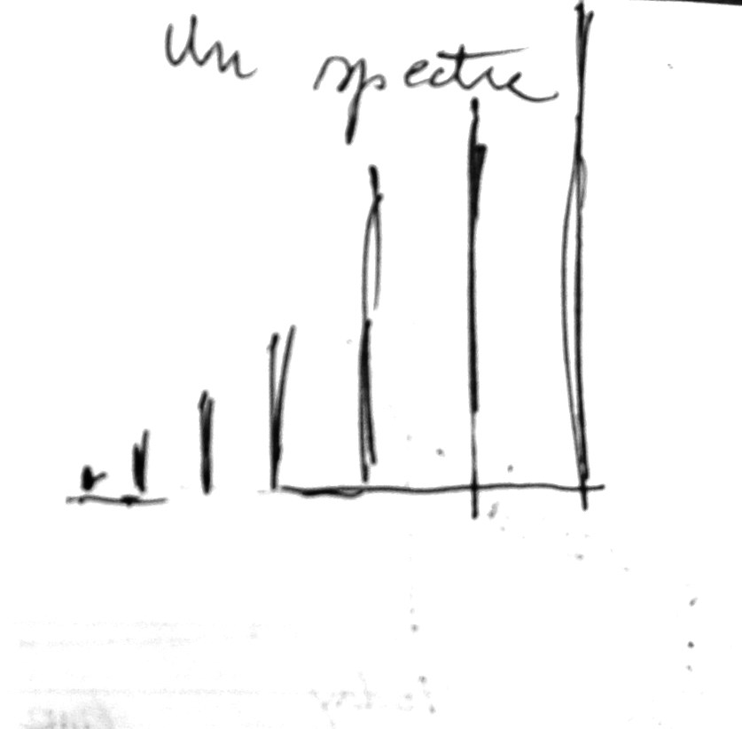 Bourguignon's drawing